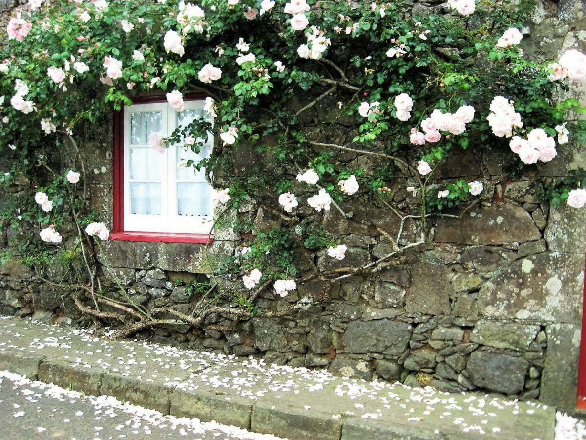 Villa Casa Da Roseira Nordeste  Esterno foto